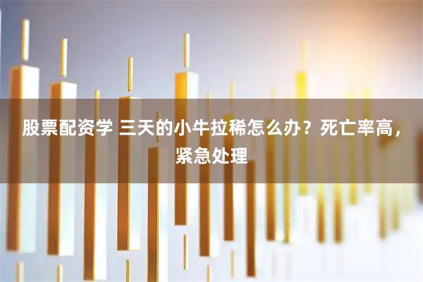 股票配资学 三天的小牛拉稀怎么办？死亡率高，紧急处理