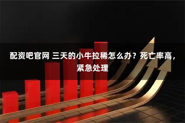配资吧官网 三天的小牛拉稀怎么办？死亡率高，紧急处理